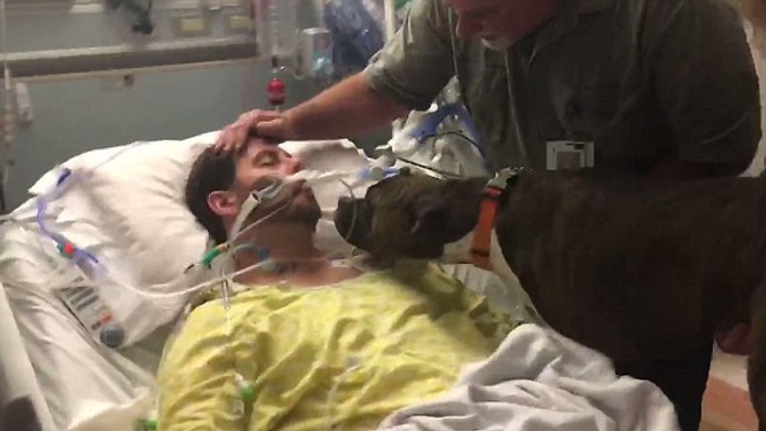 Video, z ktorého sa tisnú slzy do očí. S umierajúcim mladíkom sa lúči jeho pes