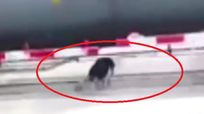 Bez názvu.png