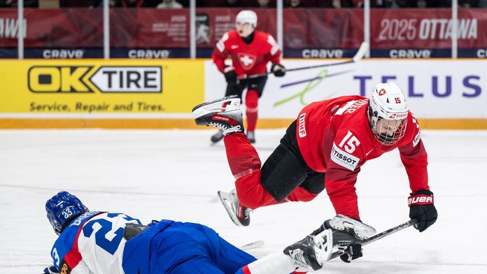 Slovenskí hokejisti predviedli obetavý výkon.