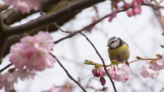 Ilustračná snímka.