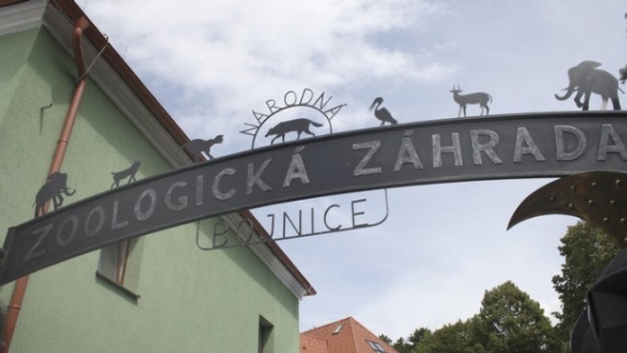 Sprava James McArthur a Jordan Ayew z Crystal Palace oslavujú gól v dueli na pôde Manchesteru City.