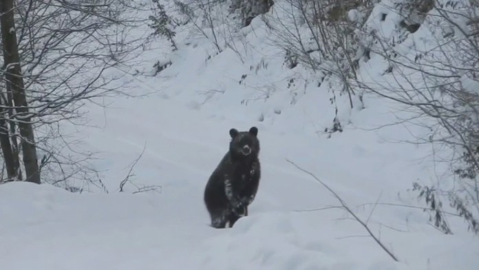Hráč Chelsea Marcos Alonso (3) v zápase proti Arsenalu.