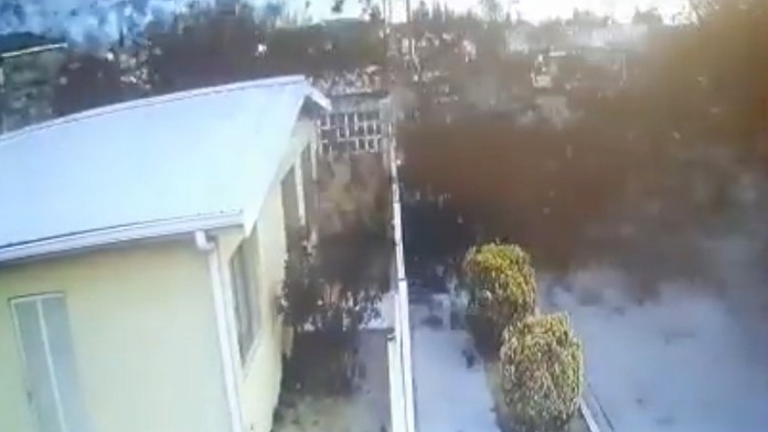 Video, aké ste ešte nevideli: Kŕdeľ vtákov „spadol“ z neba ako vrece zemiakov. Mnohé z nich neprežili