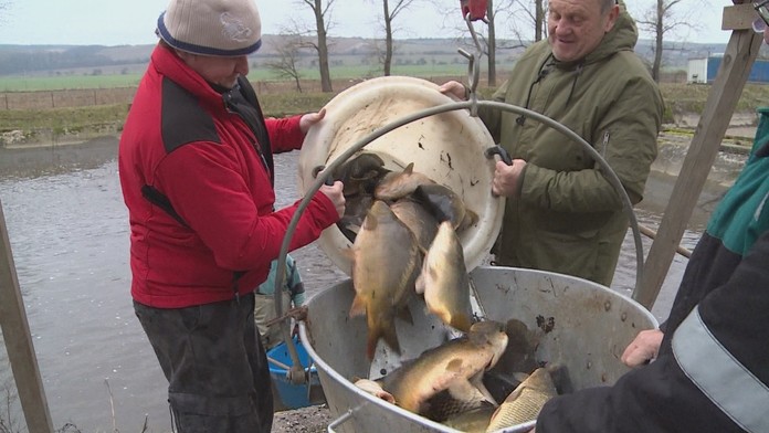 CAPUTOVA_tvnoviny.mp4