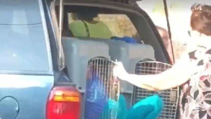 Babka viezla autom vnúčatá zatvorené v psích klietkach