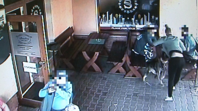 Pes zaútočil na čašníčku.