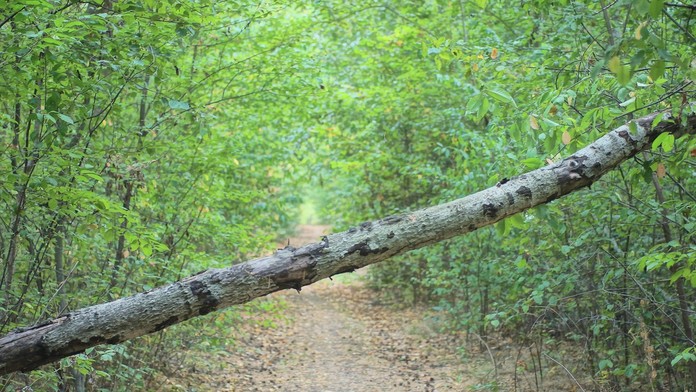 Ilustračná snímka.