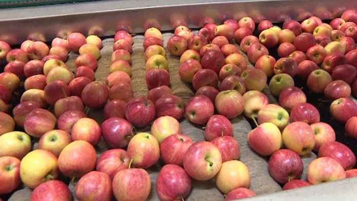 RSKO HECKO_tvnoviny.mp4