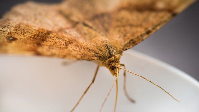 Ilustračná snímka.