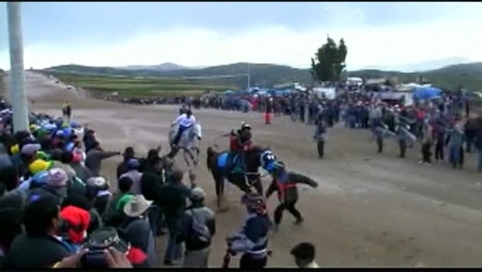 Muž zrážku s koňom neprežil