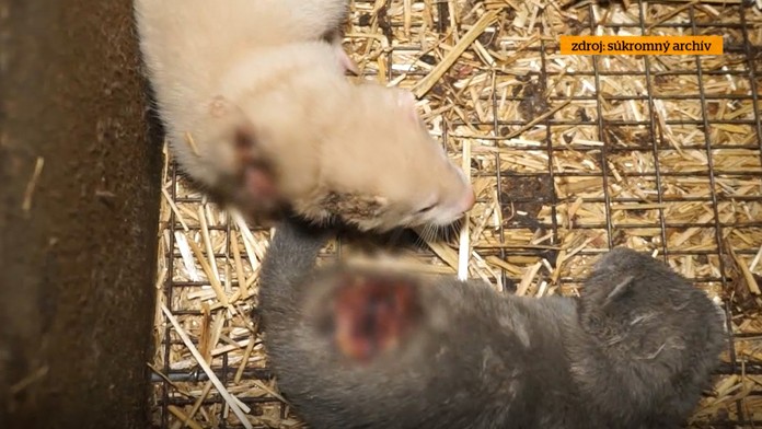 Ilustračná snímka.