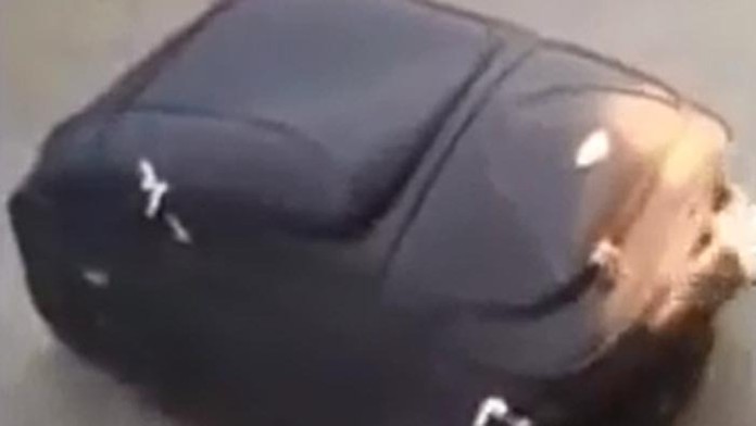 Migrant sa ukrýval v kufri.