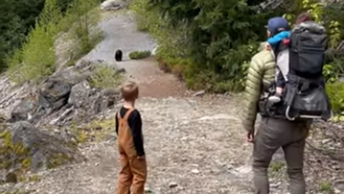 VIDEO: Rodinu s malými deťmi prenasledoval v Kanade medveď. V pätách im bol viac ako kilometer