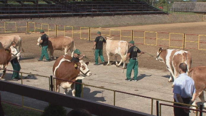 Promenádovali sa po ozajstnom móle.