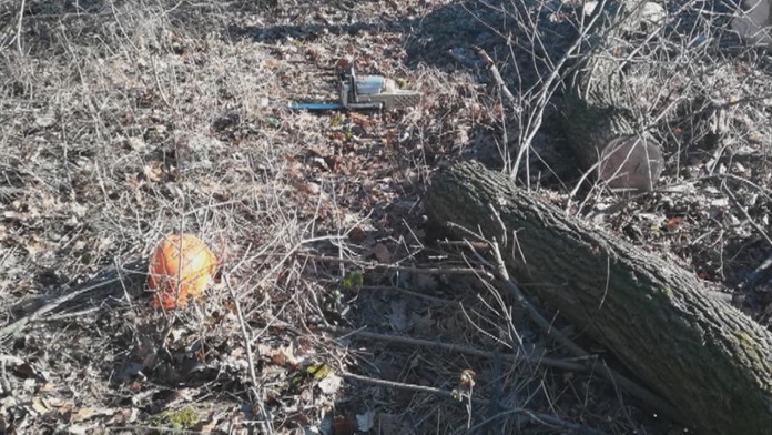 Alpská lyžiarka Petra Vlhová oslavuje striebro v kombinácii na MS v Are.