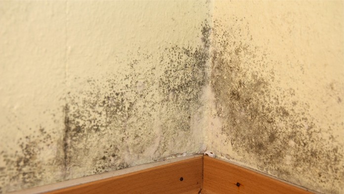 Ilustračná snímka.