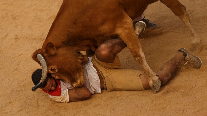 Býky na tradičnom behu v Pamplone zabíjali.