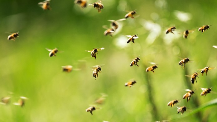 Ilustračná snímka.