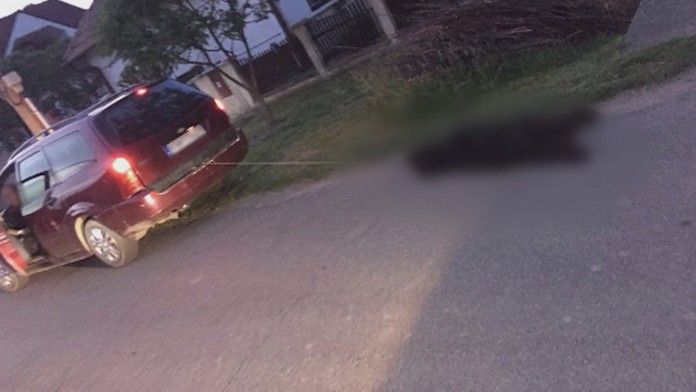 Celá jazda sa skončila omnoho horšie ako by dôchodca čakal.