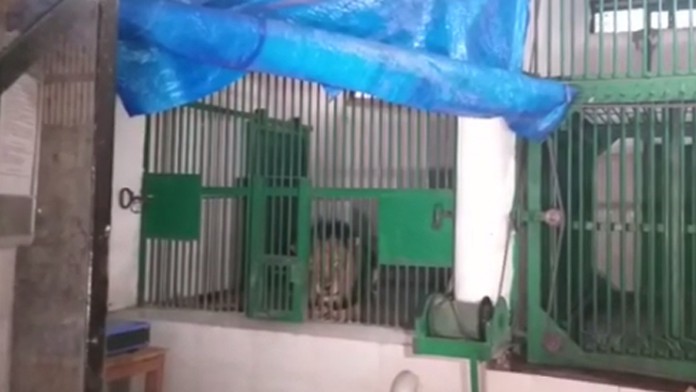 2201_Telerano_22_01_P20_Ut_06_00_uni.mp4