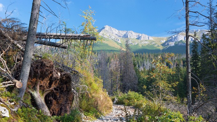 Cesta na Zelené pleso, v pozadí Belianske Tatry.