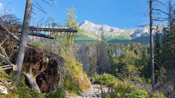 Cesta na Zelené pleso, v pozadí Belianske Tatry.
