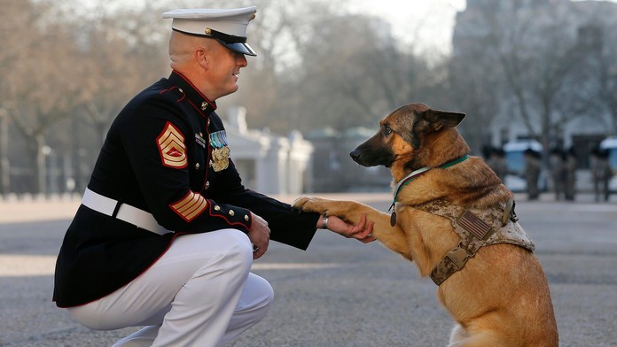Lucca dostala medailu za statočnosť