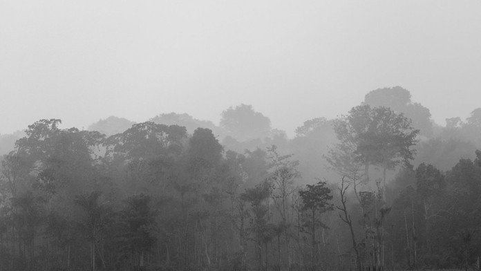 V Brazílii havarovalo stredne veľké lietadlo. Zomreli najmä turisti