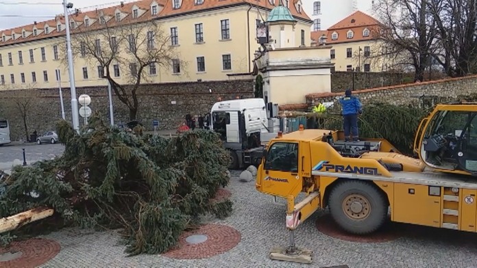 Výmena stromčekov pred parlamentom.