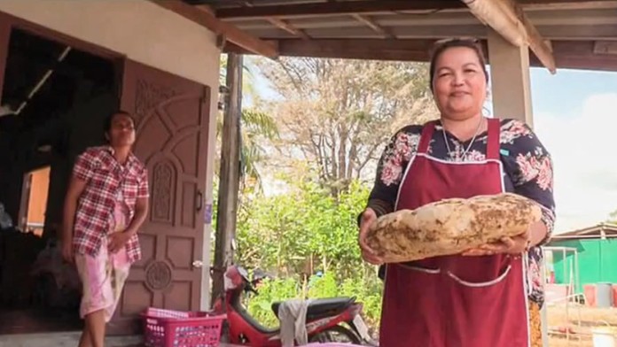 VDRTBEMLFFWA-high_1080p.mp4