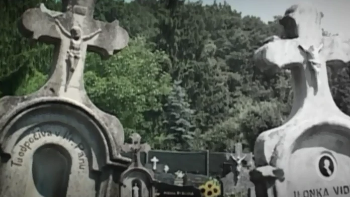 Bez názvu.png