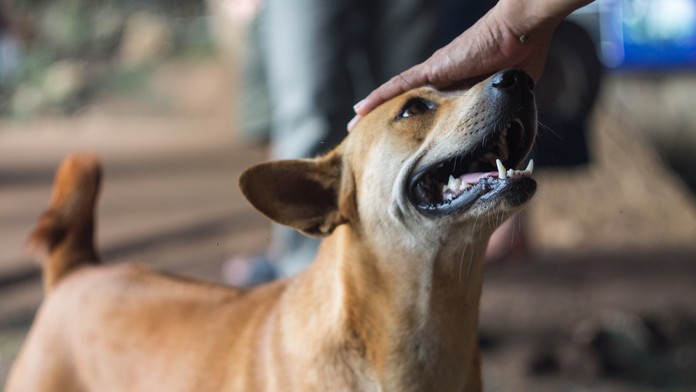 Ilustračná snímka.