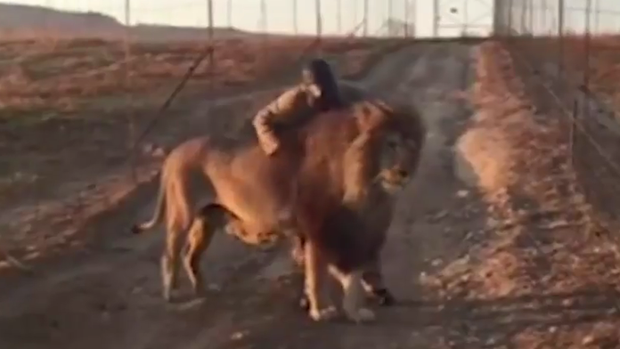 Smokey bez pohladkania nespolupracuje.