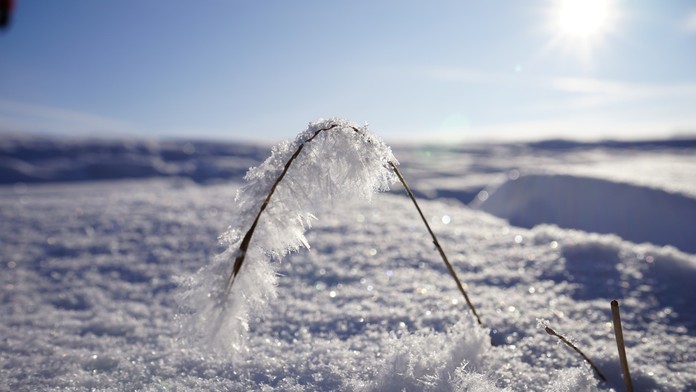Je tu predpoveď na nadchádzajúcu zimu. Experti už vedia, ako zaútočí polárny vír