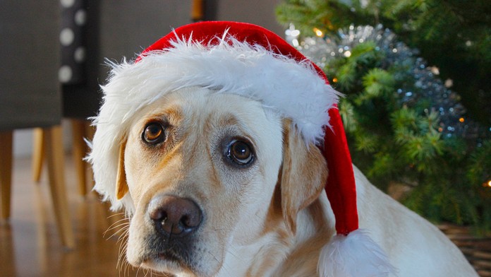 Ilustračná snímka.