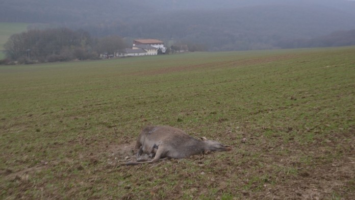 Pánska móda jeseň-zima