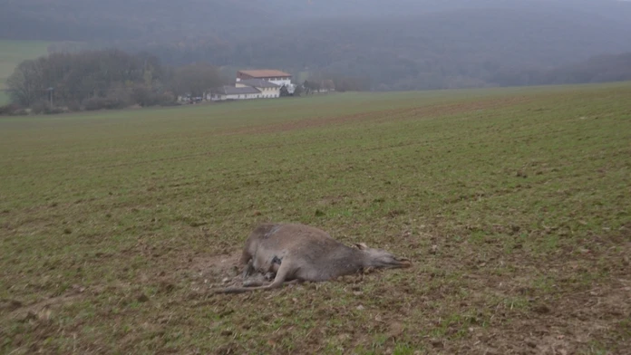 Pánska móda jeseň-zima