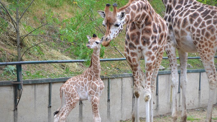 Ilustračná snímka.