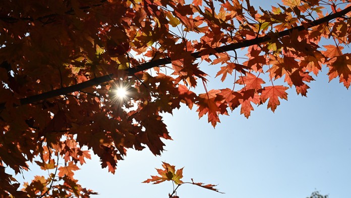 Jesenná atmosféra v parku v Trnave.
