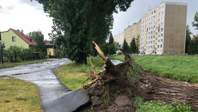 Búrka lámala aj veľké stromy
