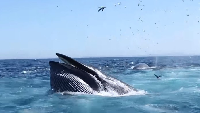 Auto, ktoré zrazilo 66-ročného dôchodcu.