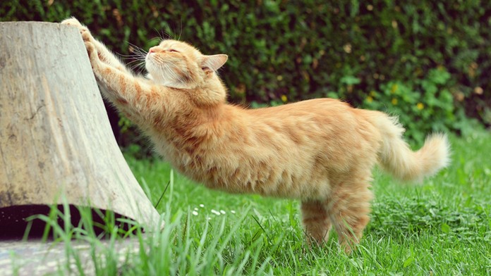 Požiar v areáli bývalej preglejky v Bánovciach nad Bebravou.