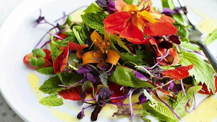 Šalát s jedlých kvetov.