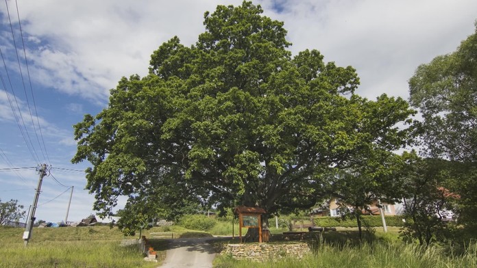 Anketový popolník v Nitre.