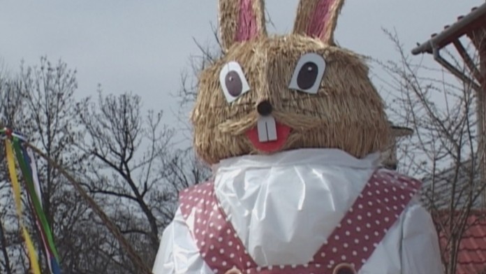 ZAJAC MEGAweb_jpg_bez_watermarku_1.jpg