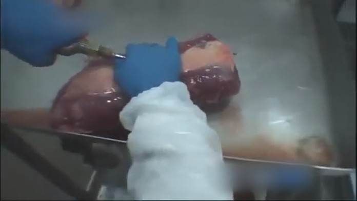 Brazílske mäšo plnili chemikáliami 