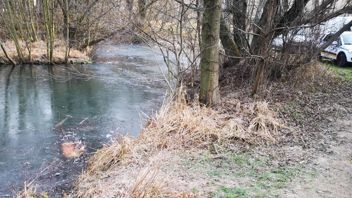 Dea si dala napichať pery