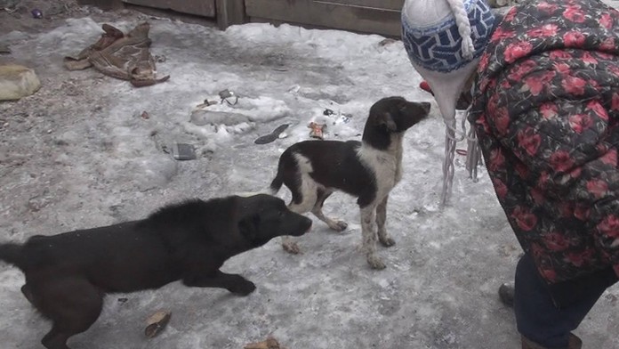 Tamara (Zuzana Mauréry)