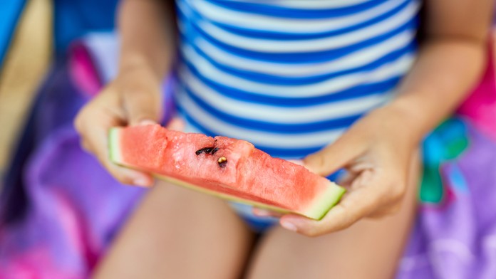 Nové nariadenie obsahuje až 23 zákazov. 