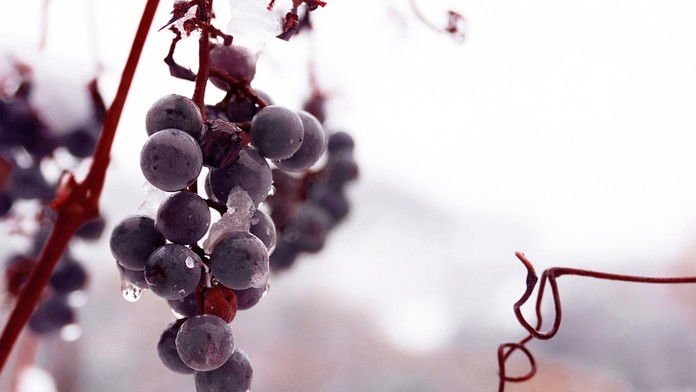 Ilustračná snímka.